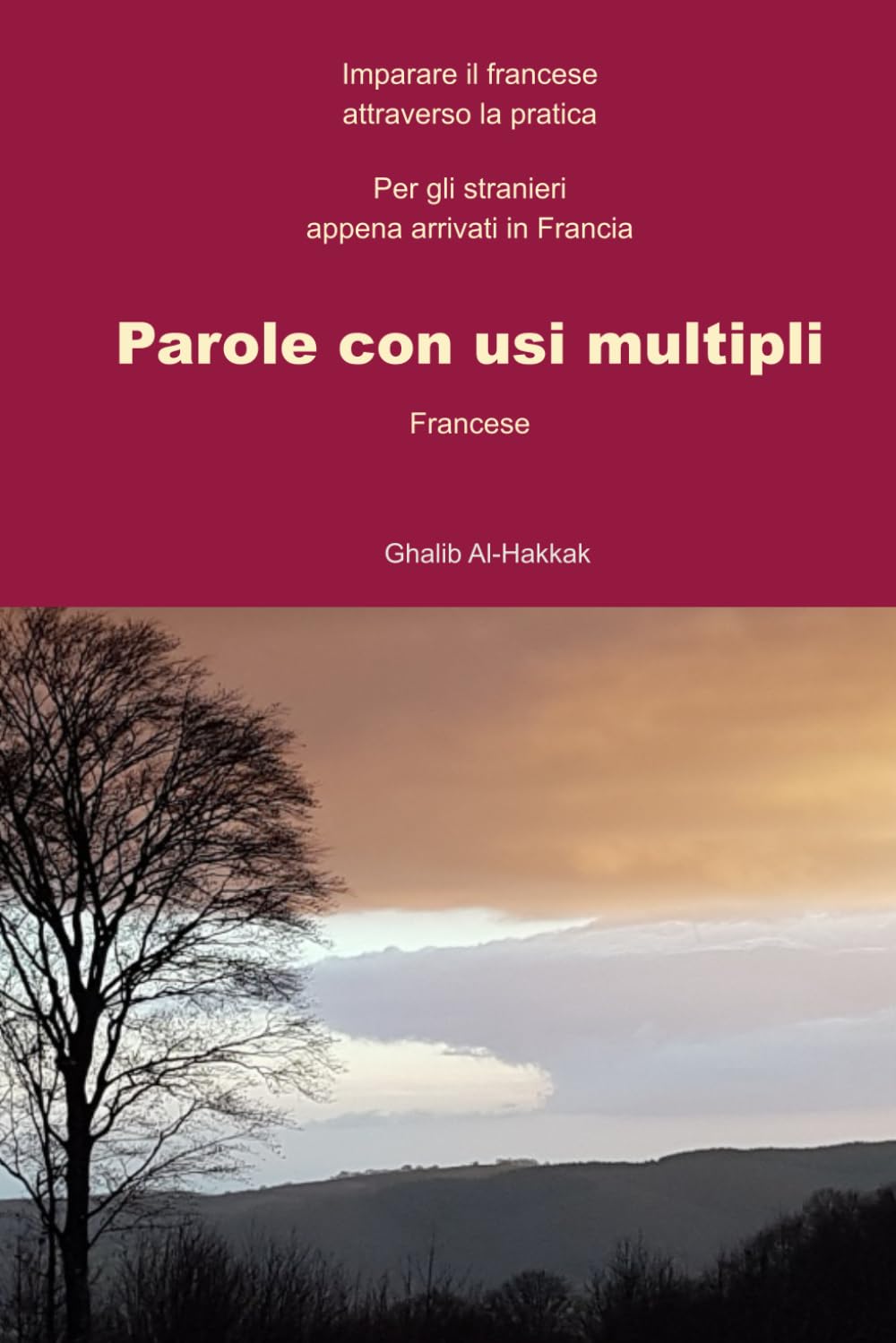 Parole con usi multipli - Francese: Imparare il francese attraverso la pratica