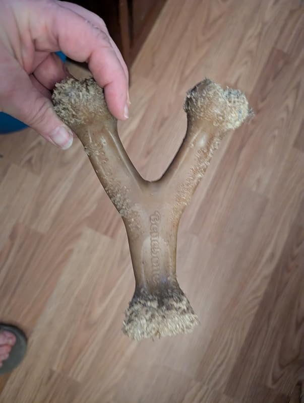 Pet Supplies Benebone Large 4-Pack Dog Chew Toys for Aggressive Chewers, Made in USA, 90lbs and Under : Review Image