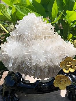 Amazon.co.jp: 買い得 680g 綺麗 透明感良く ミャンマー産 菊花水晶