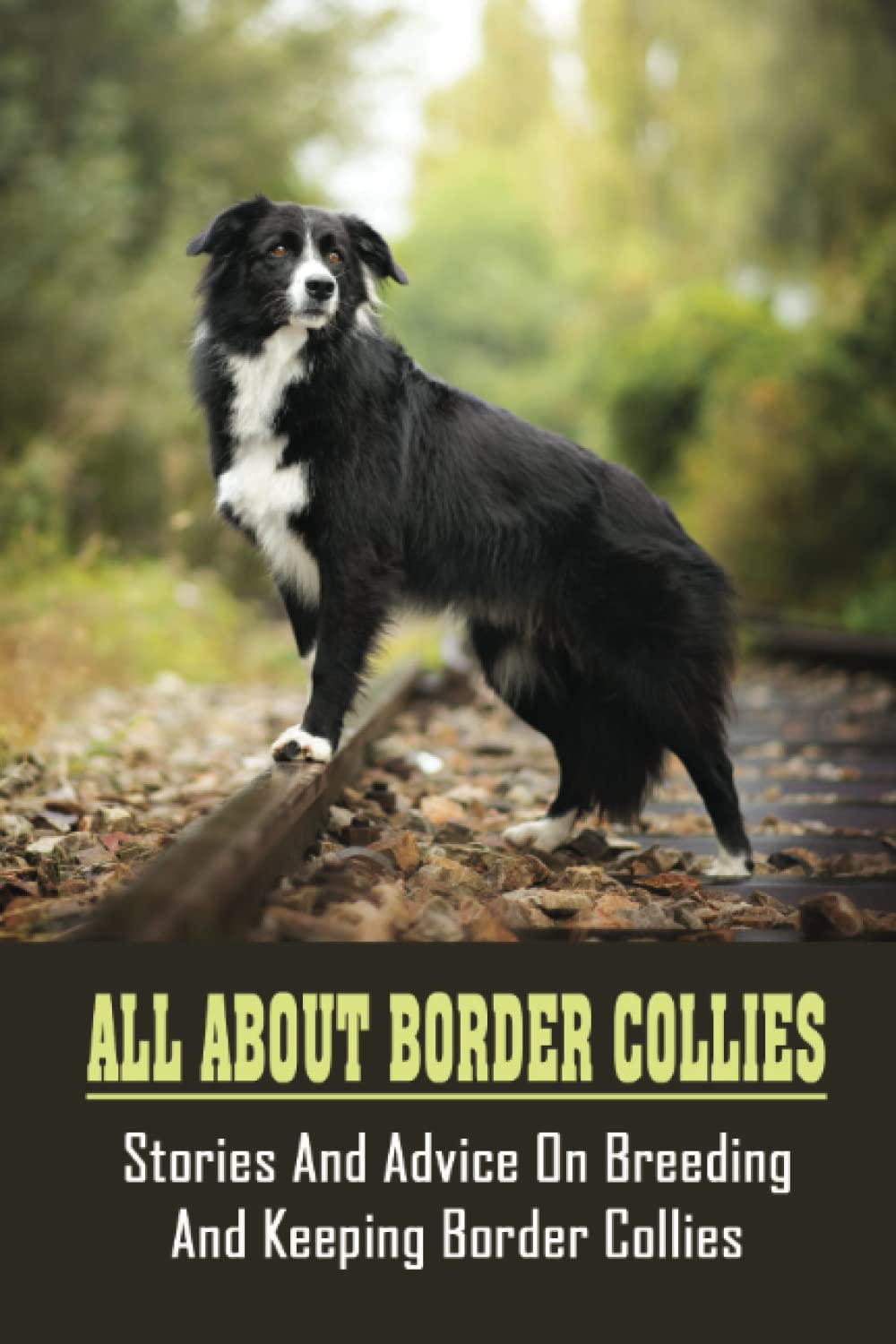 All About Border Collies: Stories And Advice On Breeding And Keeping Border Collies