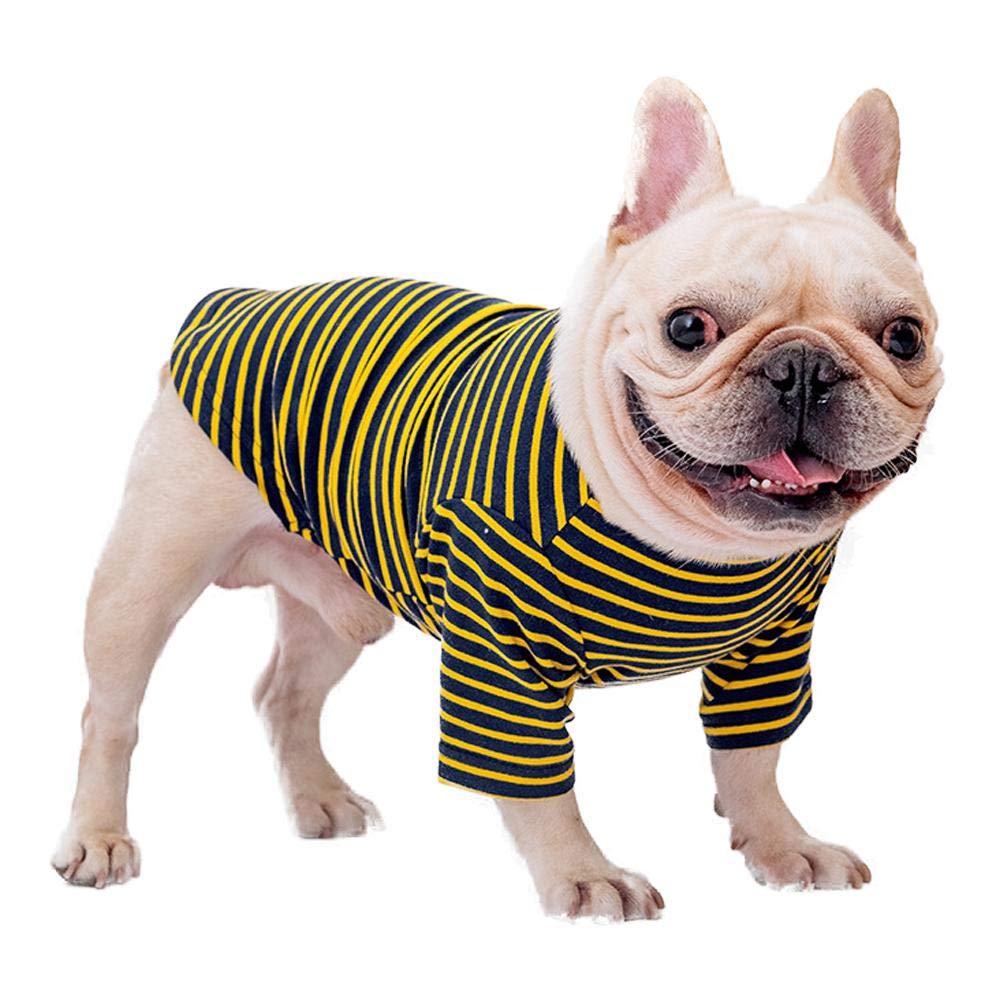 Why Do Dogs Sleep On Clothes