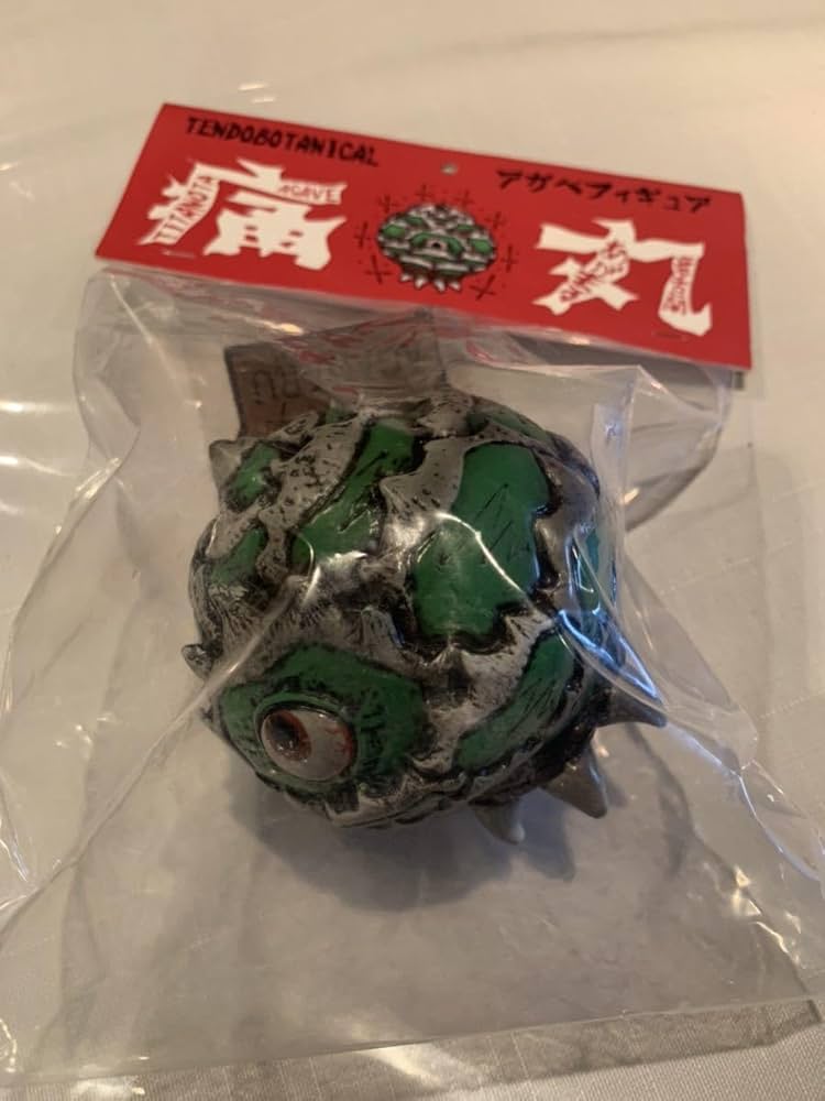 TENDOBOTANICAL グラ丸1 塊根植物 グラキリス TENDOBOTANICAL グラ丸1 塊根植物 グラキリス