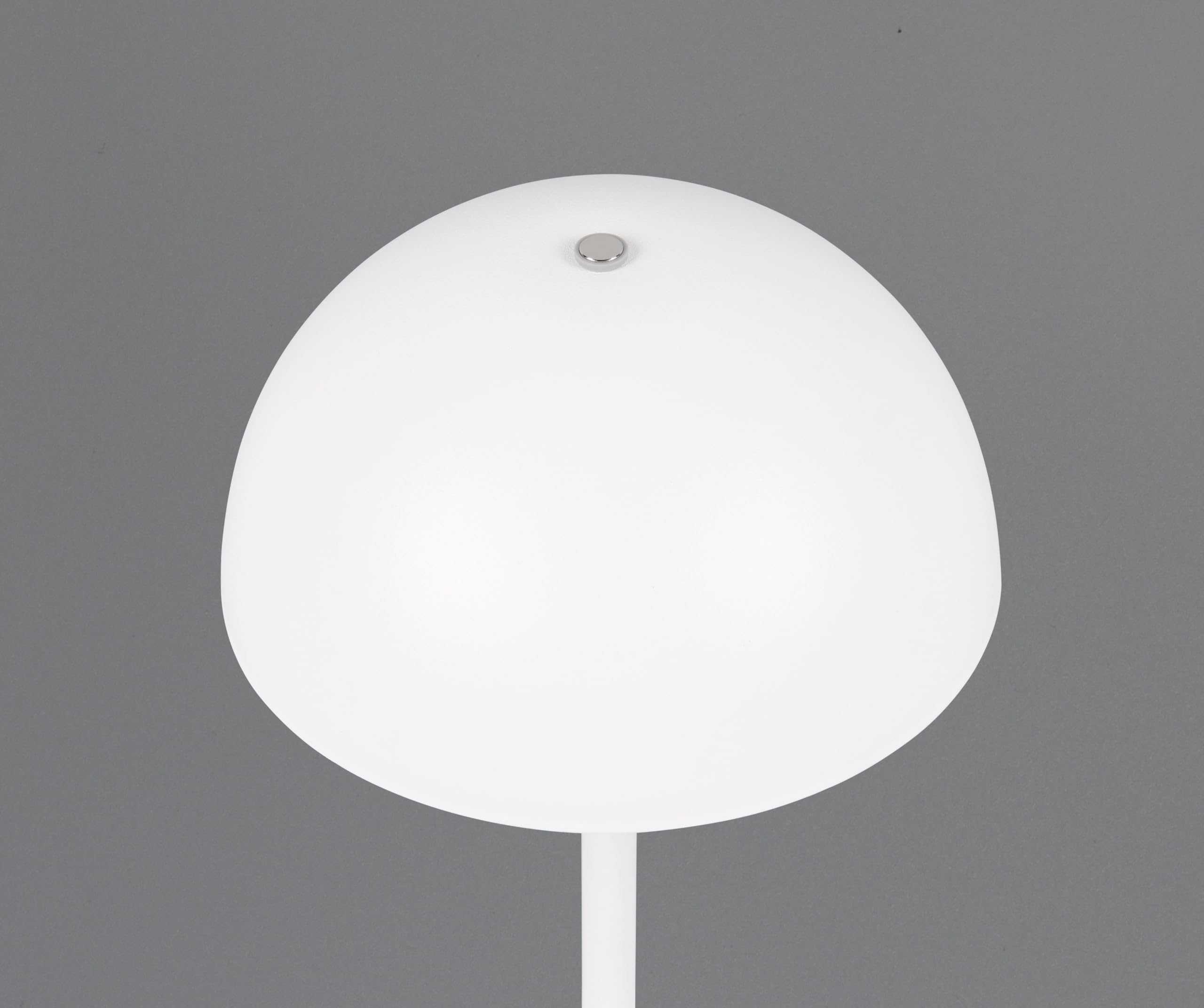 Reality Leuchten lampa stołowa LED Munoz R54891131, metal biały matowy, w zestawie 1,3 W LED, 4-krotny dotyk