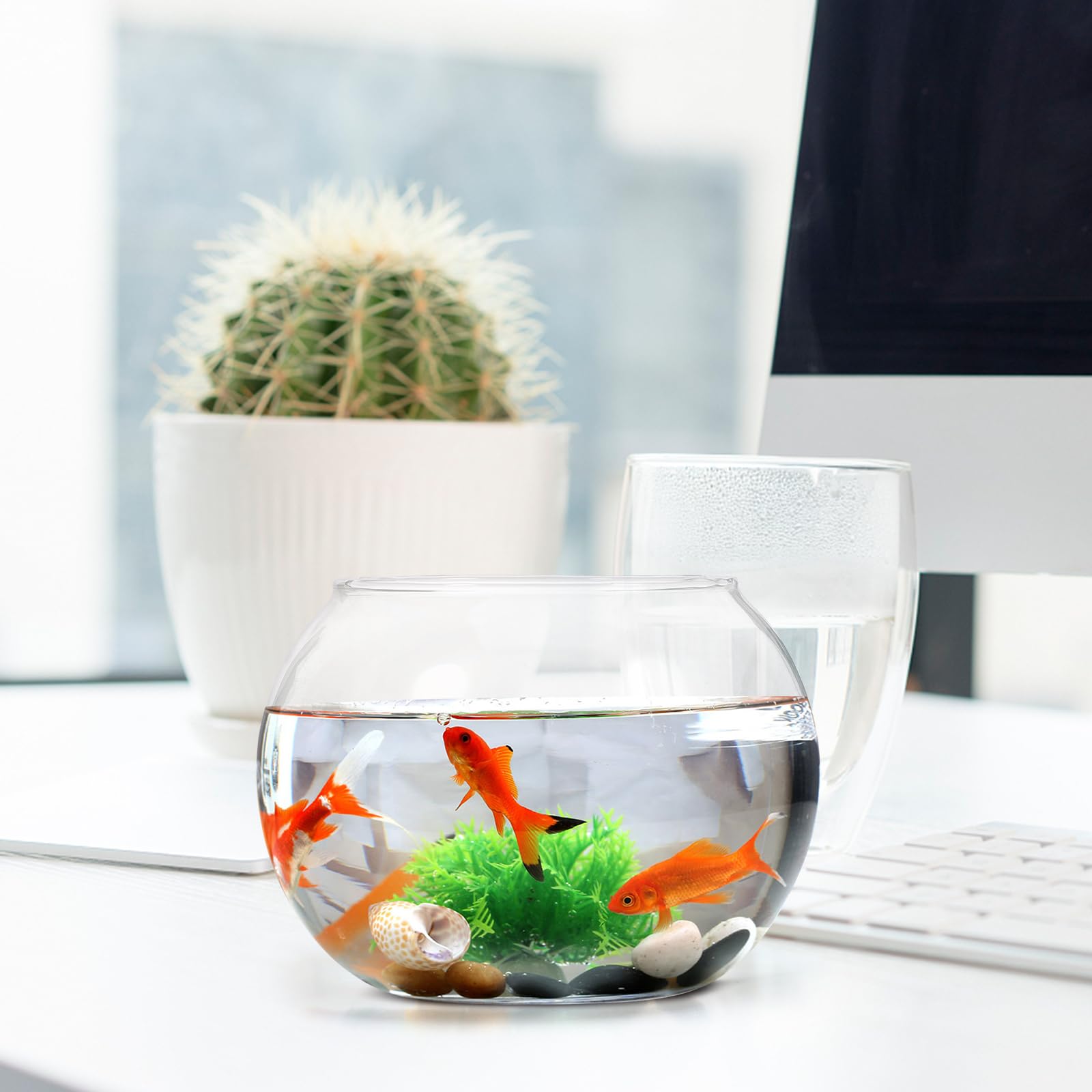 魚のガラス型花瓶金魚水族館 Amazon | 金魚水族館 ガラスプランター おしゃれ 陶器 容器 花瓶