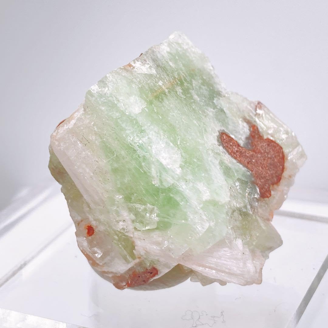 Amazon | グリーンアポフィライト 原石 鉱物標本 326 | 岩石