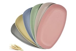 Durable Long Plates for Dinner & Gatherings