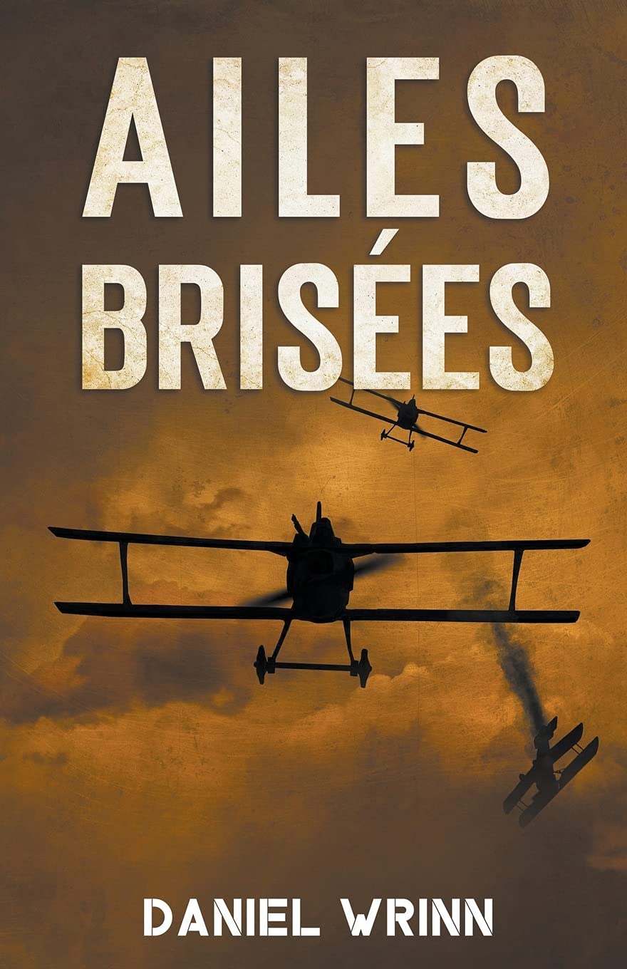 Ailes Brisées (La Grande Guerre Série)