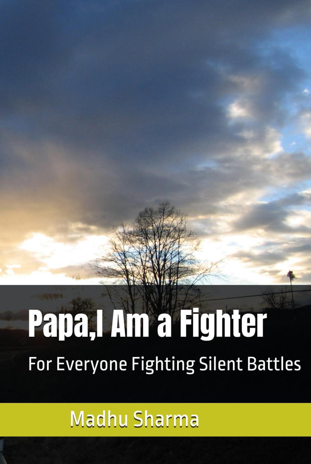 Papa,I Am a Fighter: For Everyone Fighting Silent Battles