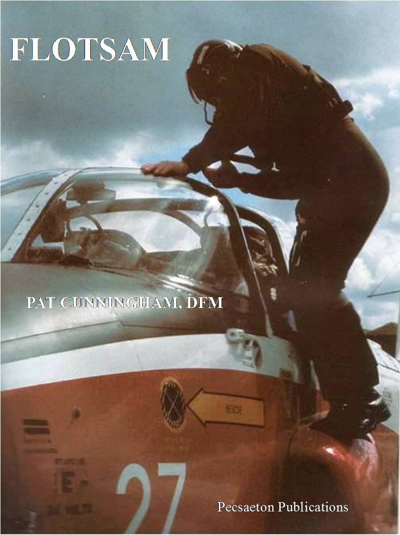 Flotsam (Flotsam and Jetson Book 1) eBook Pat Cunningham