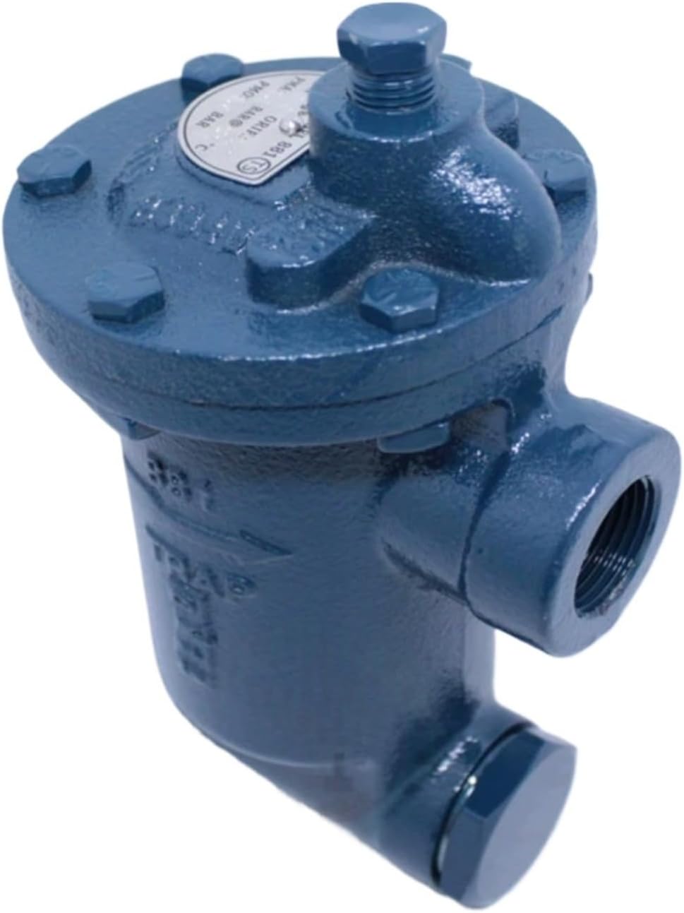DN15 DN20 DN25 Steam Trap 681F Flanged Steam Trap Automatic Steam Trap 881 Threaded Inverted Bucket Steam Trap High Temperature(881 DN15)