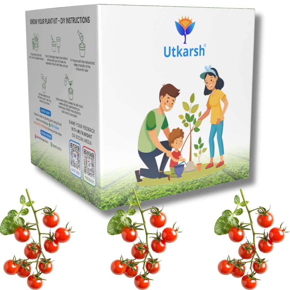 Utkarsh Cherry Tomato Seed Starter DIY Grow Kit for Gifting | Best Eco-Friendly Return Gift Ideas for Kids & Beginners | Easy to Grow it Yourself Gardening Set for Home & Kitchen Garden | Pack of 1