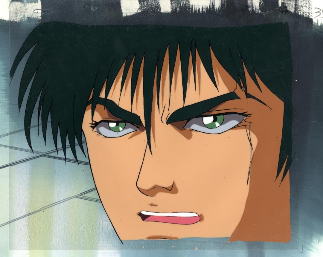 Amazon.co.jp: 宇宙の騎士テッカマンブレード Dボウイ セル画 全