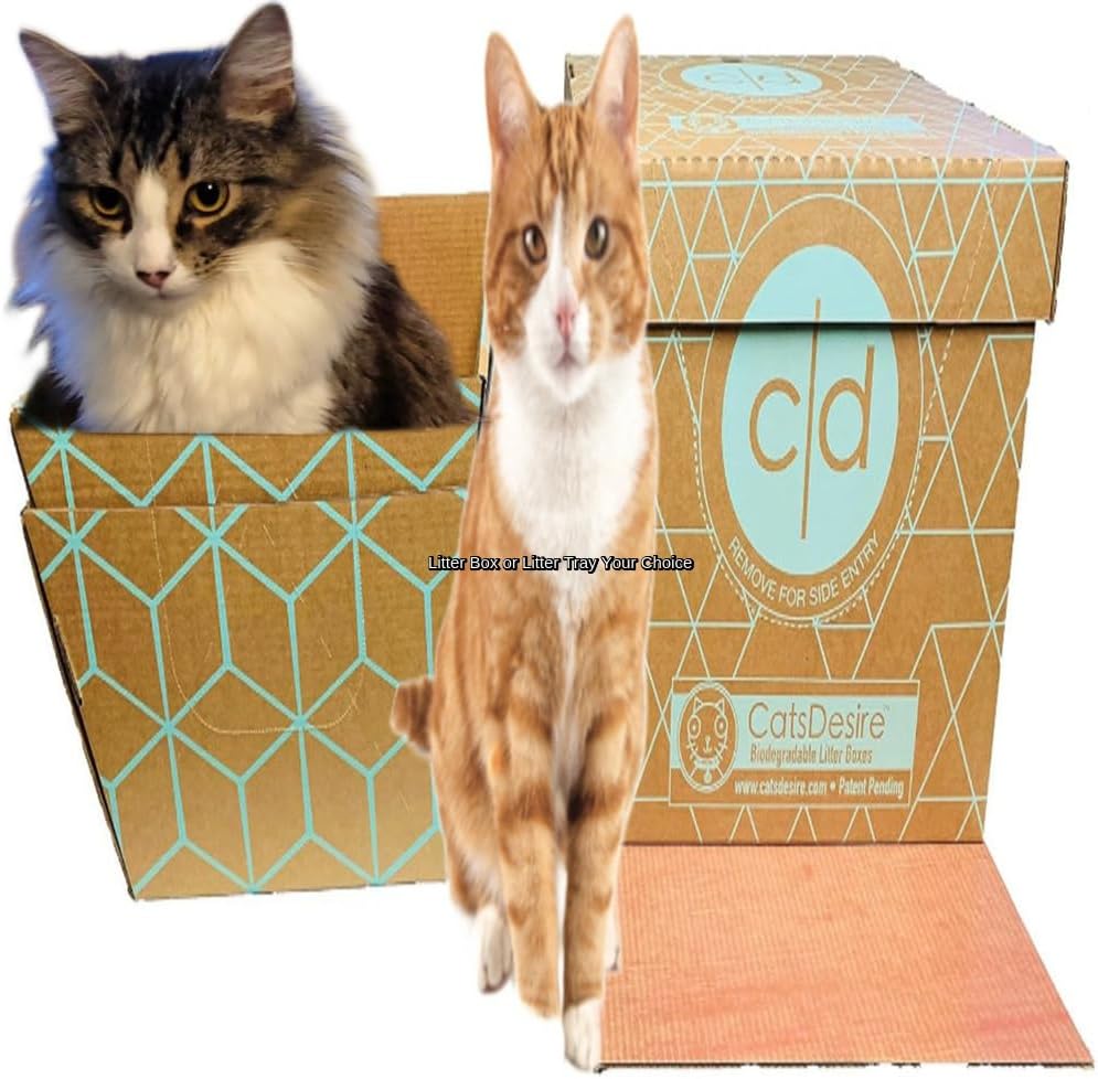 Cats Desire Litter Box Extra-Large Heavy Duty Cardboard Cat Scratcher and Lounger Box with Scratcher Pad Plus Catnip - Two Trays Convert to an Enclosed Box for All Breed Sizes - 19"x17"x8.5"