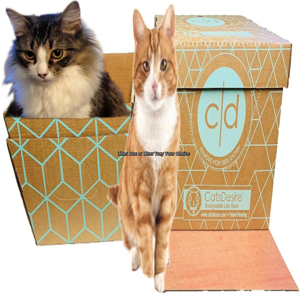 Amazon.com: Disposable Litter Boxes for Cats Sampler Both Our Patented  Products Woman Owned Small Bus. Made in USA Tray 8.5in. Tall Top Entry Litter  Box 15in. Tall. 2021 A.I.C.C. Innovation Award :