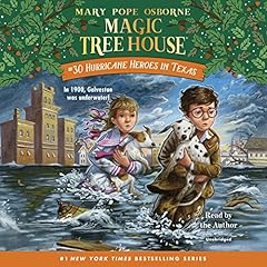 Hurricane Heroes in Texas cover art