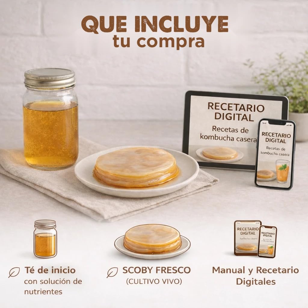 Pack 2X Disco SCOBY Kombucha Fresco + Instrucciones + Recetas + Ayuda y Asesoramiento en español - OH MY KÉFIR