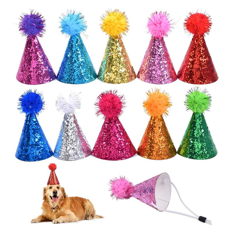 HMCEY 10 peças chapéu festa aniversário, gorro cone aniversário, mini chapéus de pelúcia, animais pequenos chapéu de festa cães, chapéus de aniversário colorido de gato para decoração DIY