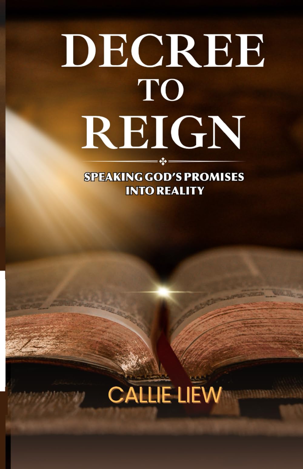 Decree to Reign: Speaking God's Promises into Reality