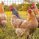 ★ Material de alta calidad: el alambre de púas está hecho de alambre de hierro galvanizado liviano. Antióxido, larga vida útil, peso ligero y lo suficientemente fuerte, es un buen ayudante para la gestión de su jardín.