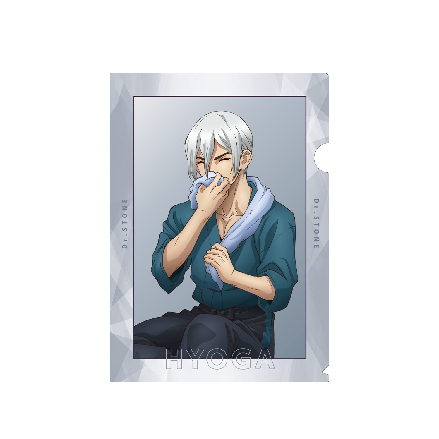 Dr.STONE 石化前 トレーディングカードステッカー 氷月 2点セット 1691638461803-1920307858