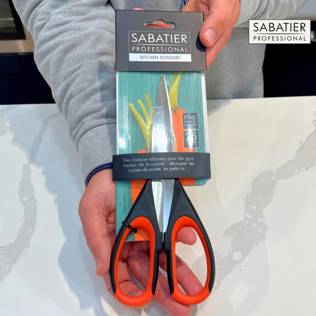 Taylor's Eye Witness - Forbici professionali Sabatier
