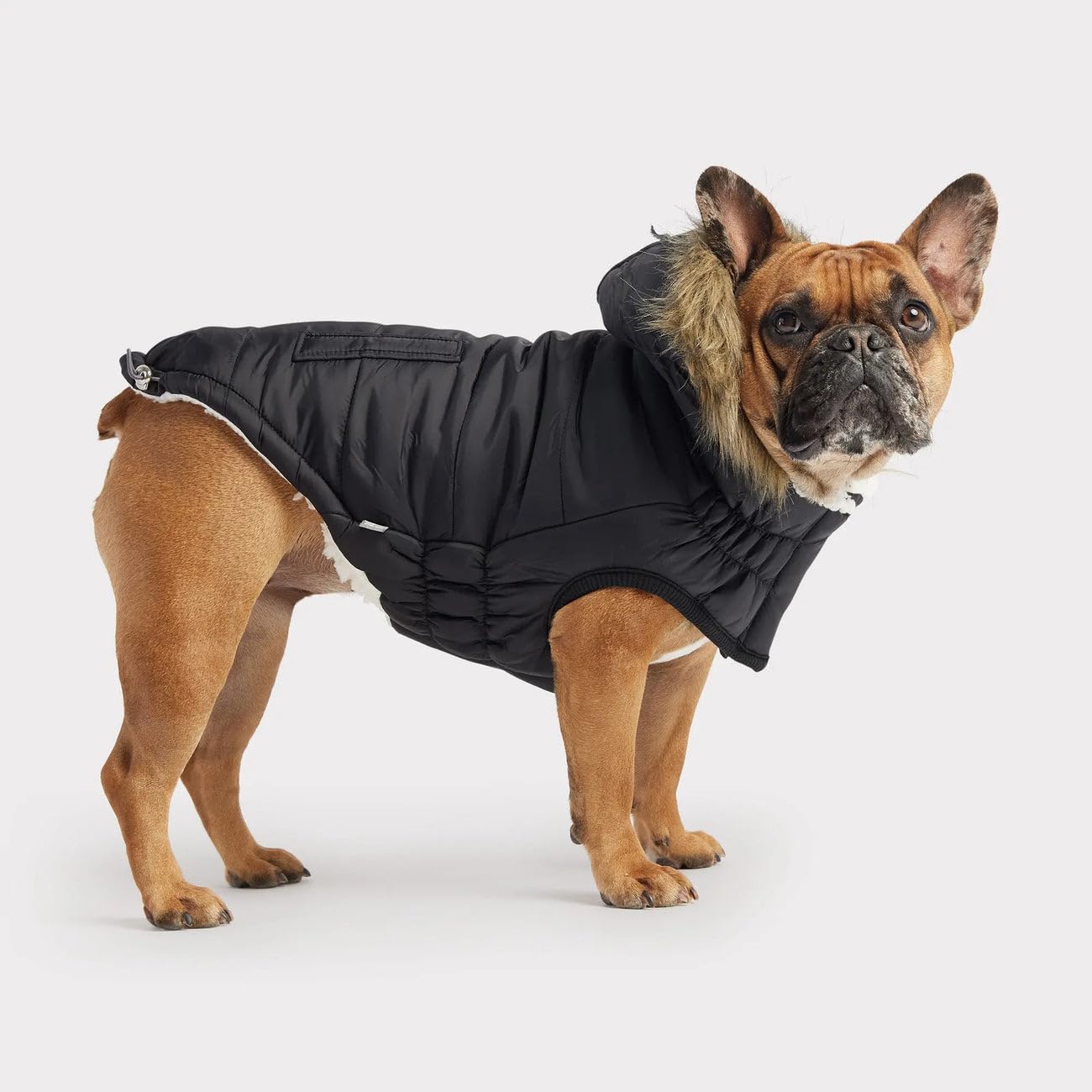 GF Pet Urban Parka - Black - 3XL