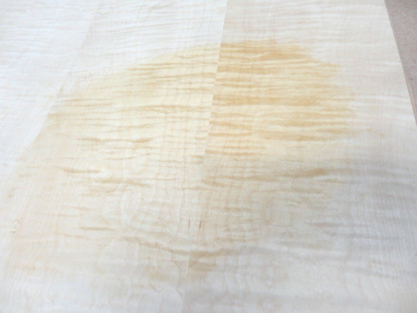 Maple Curly Figured Tiger Wood Veneer 24" x 48" with PSA Adhesive AA Grade