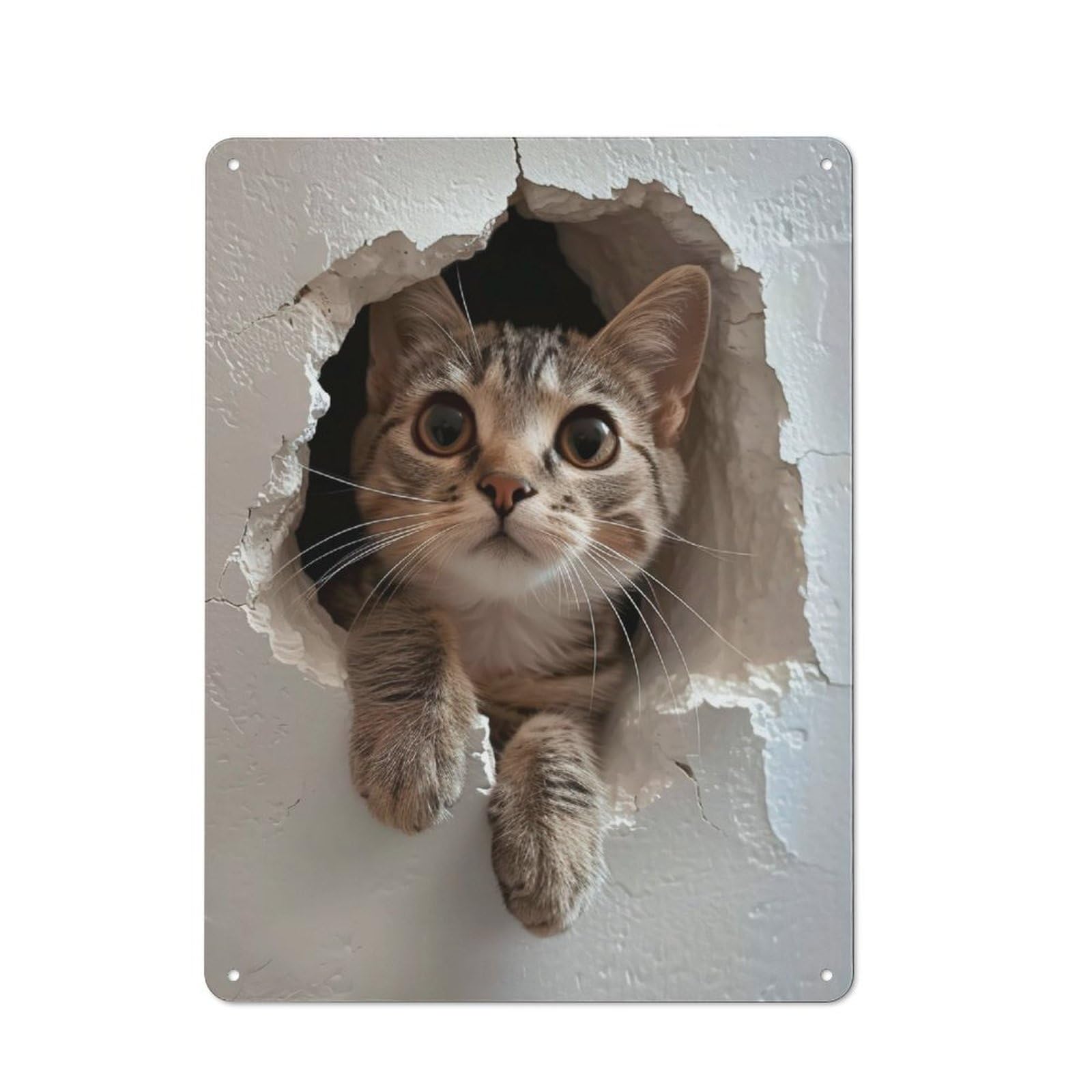 Junmoney Miau Miau Rustic Metal Sign 40X30cm, Country Vintage Country Wall Plaque For Cottage, Kitchen, Hallway Or Breakfast Nook