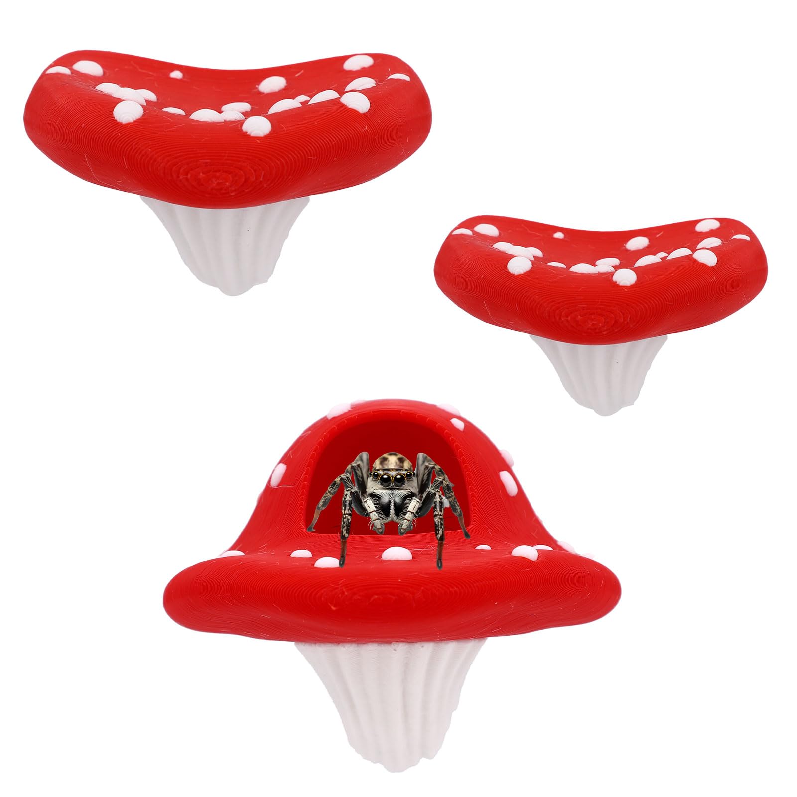 3pcs Jumping Spider Enclosure Accessories, Jumping Spider Terrarium Mushroom Styling Platforms Decorations Kit Magnetic Mounting for Climbing Hide Resting & Exploration Reptile Vivarium (3 Designs)
