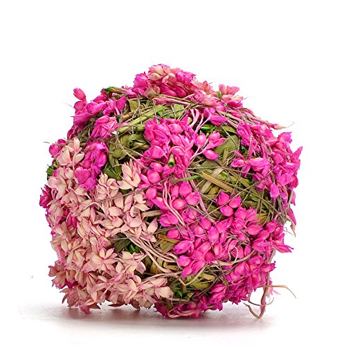 Byher Natural Preserved Moss Hanging Ball Vase Bowl Filler for Garden, Wedding, Party Decoration (3.5"(6 Pack), Pink)