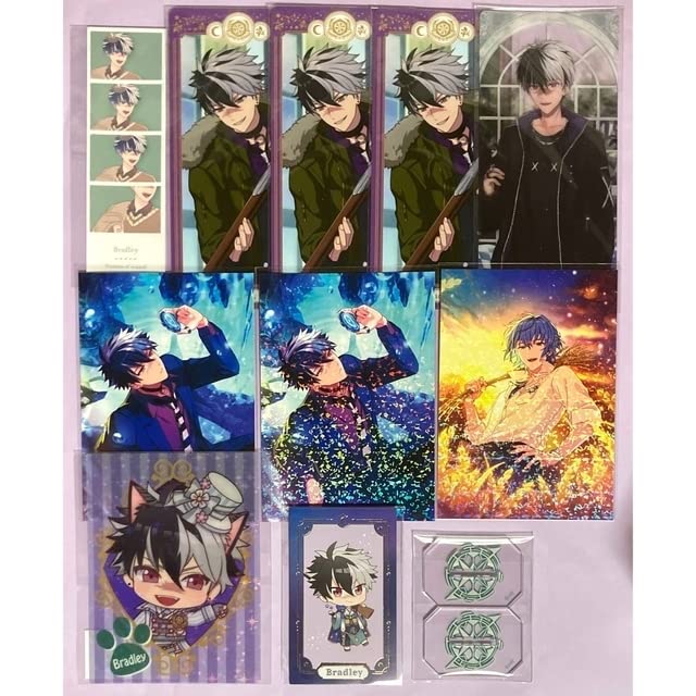 魔法使いの約束 ブラッドリー ネロ グッズセット