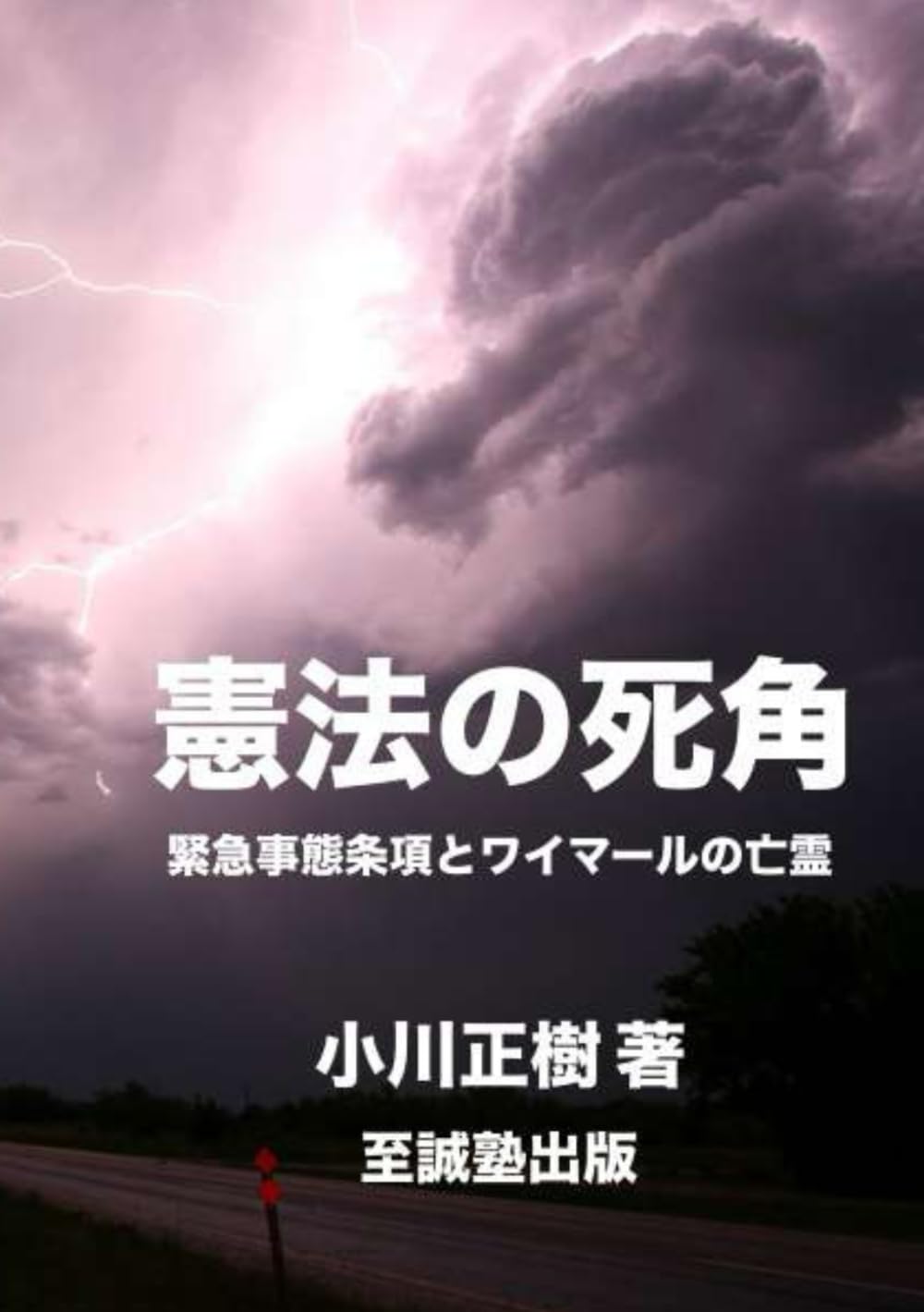 憲法の死角―緊急事態条項とワイマールの亡霊: 棄民国家への変質と人権壊滅のメカニズム