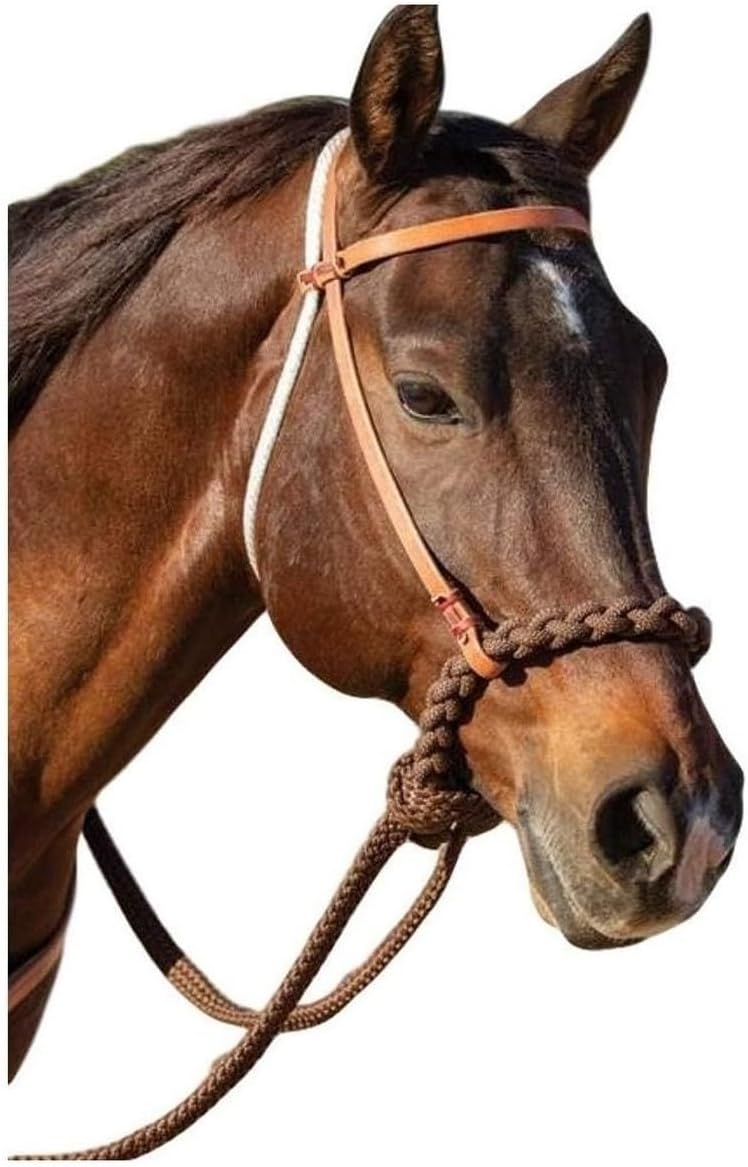 Professional's Choice Loping Hackamore, Color: Oak (8168HL)