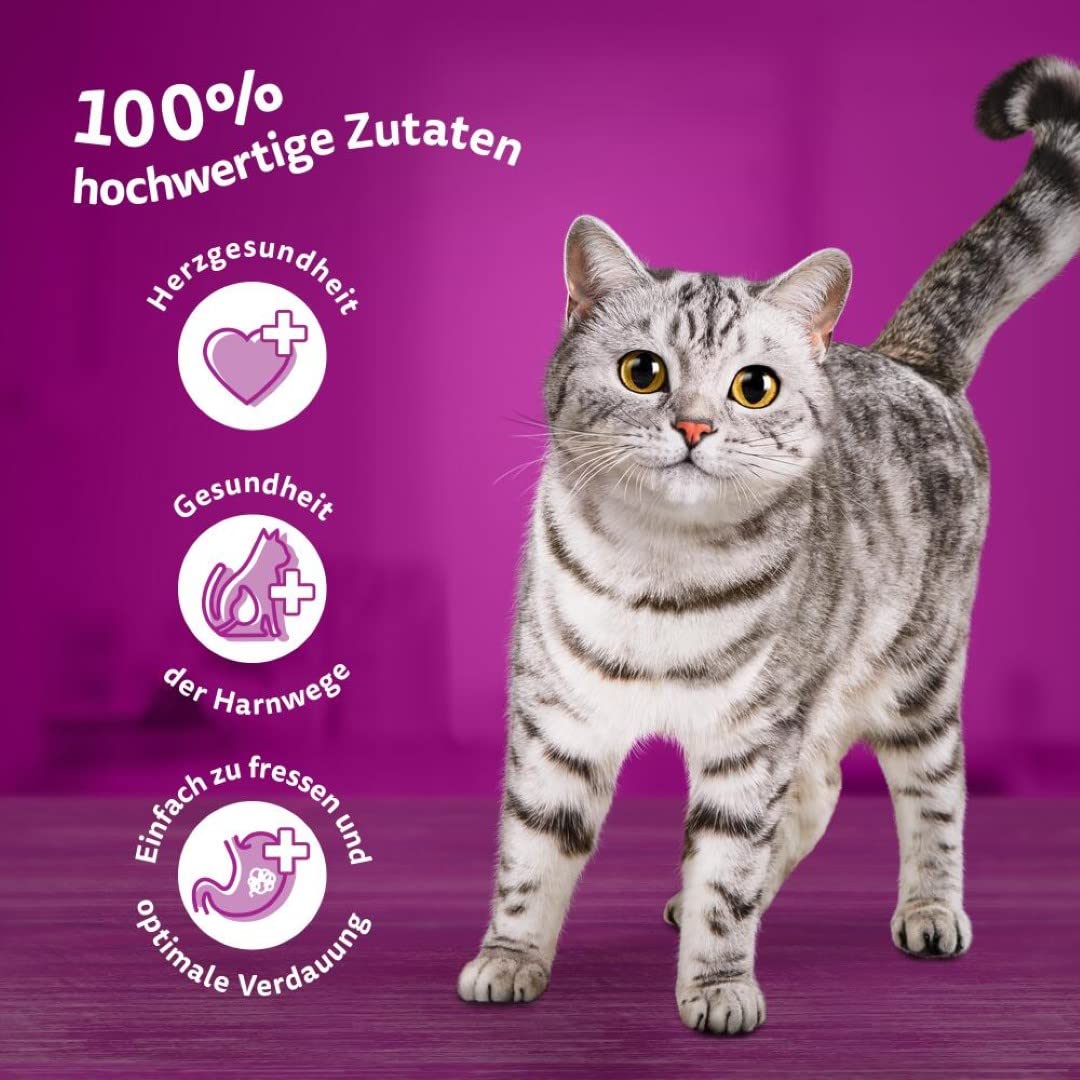 Whiskas Senior 11+ cibo umido per gatti, pollame in gelatina, 48 sacchetti per porzioni, 12 x 85 g (confezione da 4) – cibo umido per gatti di alta qualità per gatti dai 11 anni