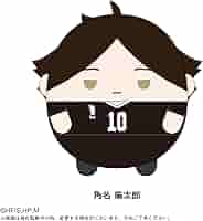 Amazon.co.jp: ハイキュー!! ふわコロりんBIG F：角名 倫太郎