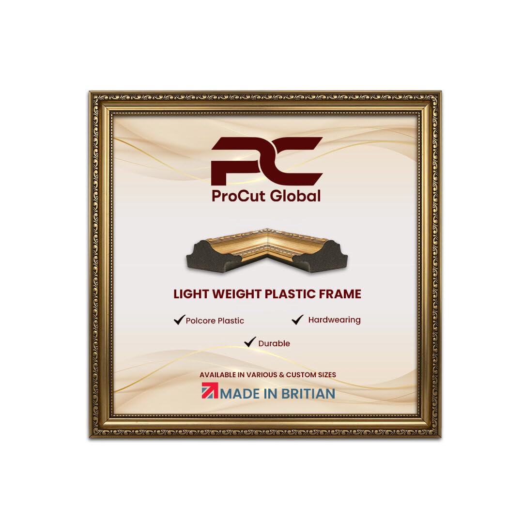 Procut Global 22X22 Gold Picture Frames - Vintage Photo Frame with Shatterproof Perspex for Wall or Tabletop - Ideal for Posters, Certificates & Prints - Sizes & Colors Available