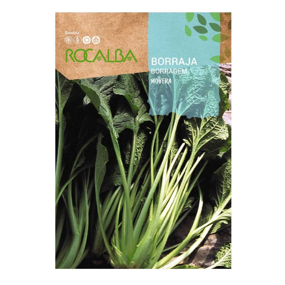 RocalbaMOVERA DRAFT 2 gr