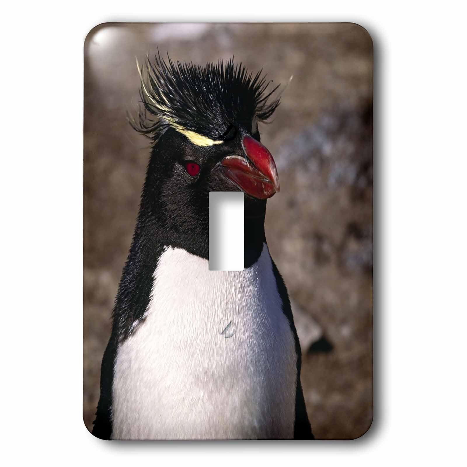 Interrupteur simple Falkland Islands Rockhopper Penguin Charles Sleicher