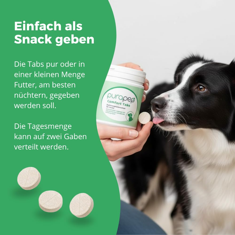Comfort Hunde Tabs – Natürliches Beruhigungsmittel mit Tryptophan, Magnesium & B Vitaminen – Ideal bei Stress, Angst & Silvester – Für entspannte Hunde in jeder Situation | 120 Tabs
