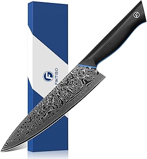 FINTISO Chef Knife 8 inch, 67-Layer Japanese Damascus Steel Kitchen Knife, Sharp Knife with G10 Handle, Professional Cooking Knives for Home and Kitchen
