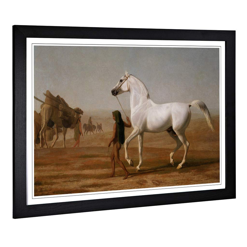 Big Box Art Framed Print of Jacques-Laurent Agasse The Wellesley Grey Arabian Design | Wall Art Picture| Home Decor for Kitchen, Living Room, Bedroom, Hallway, Black, A2 / 24.5x18 Inch / 62x45cm