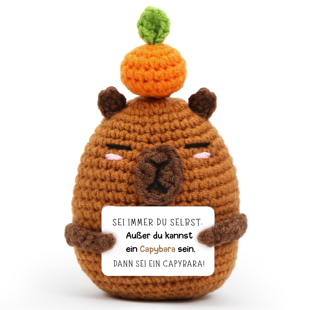 HUKUMA Positive Geschenke Capybara Kuscheltier,Gehäkeltes Emotional Support Geschenk,Pocket Hug Positive Capybara,Capybara plüschtier,lustige Positive Capybara plüsch,Kleines Geschenk für Freund