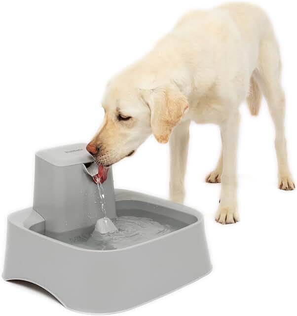 PetSafe Drinkwell Gallon Fountain for Cats and Dogs – Fountain Filter and Pump Included - Dog and Cat Water Fountain - Dis...