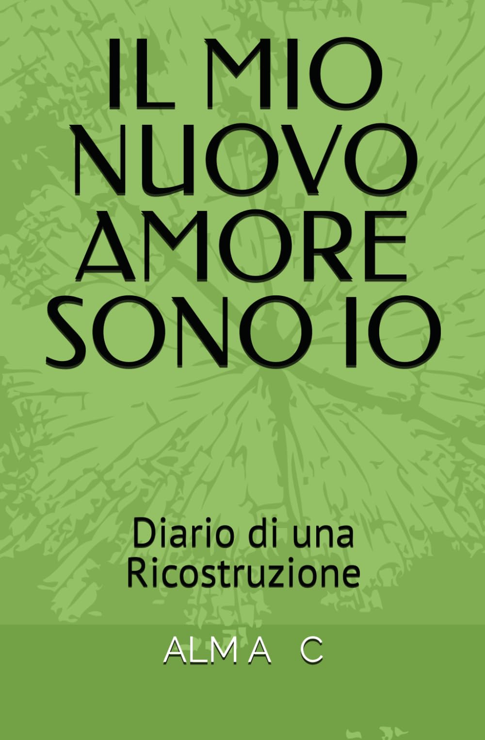 IL MIO NUOVO AMORE SONO IO: Diario di una Ricostruzione