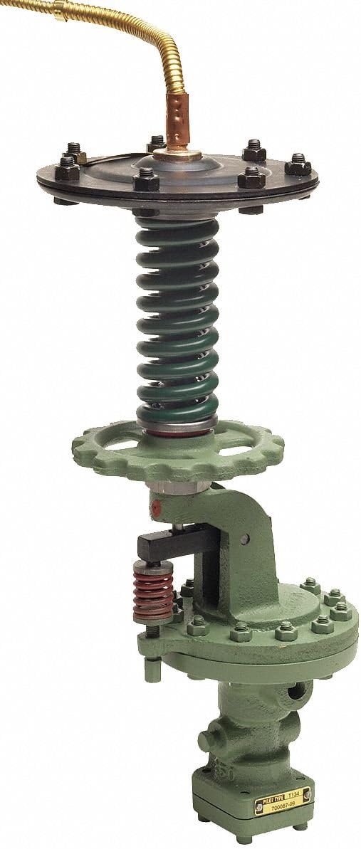 Temp and Pressure SteamPilot 1/4 in NPT