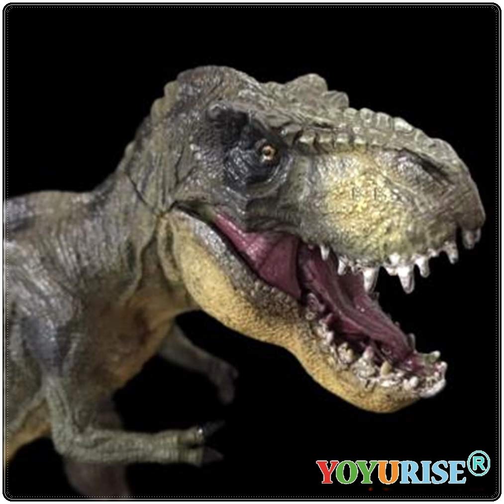 Amazon | YOYURISE ティラノサウルス PVC 30cm 級 リアル 肉食 恐竜