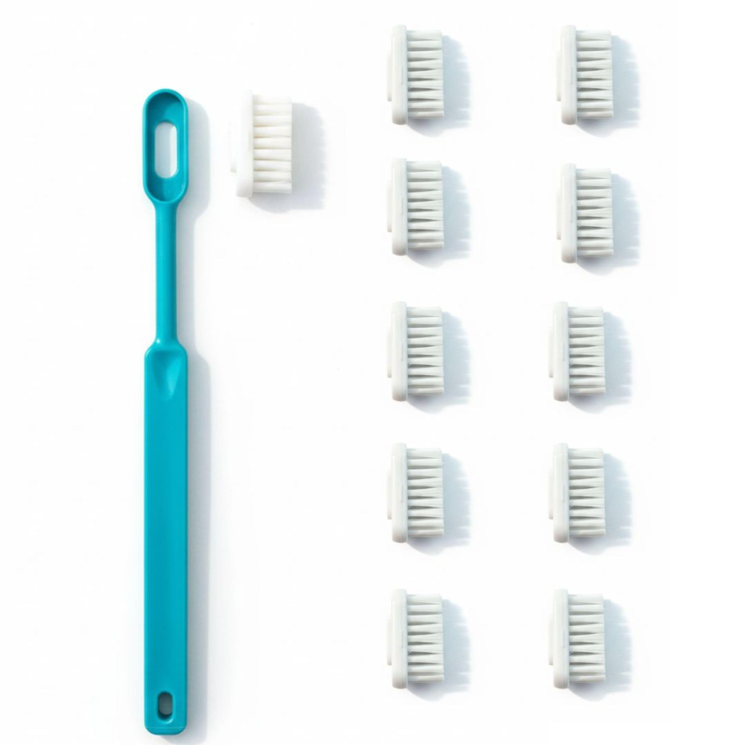 Pack Brosse à Dents Rechargeable : 1 Manche Bioplastique + 11 Recharges | Zéro Déchet, Têtes Interchangeables | Écologique | Fabriqué en France (TURQUOISE, MEDIUM)