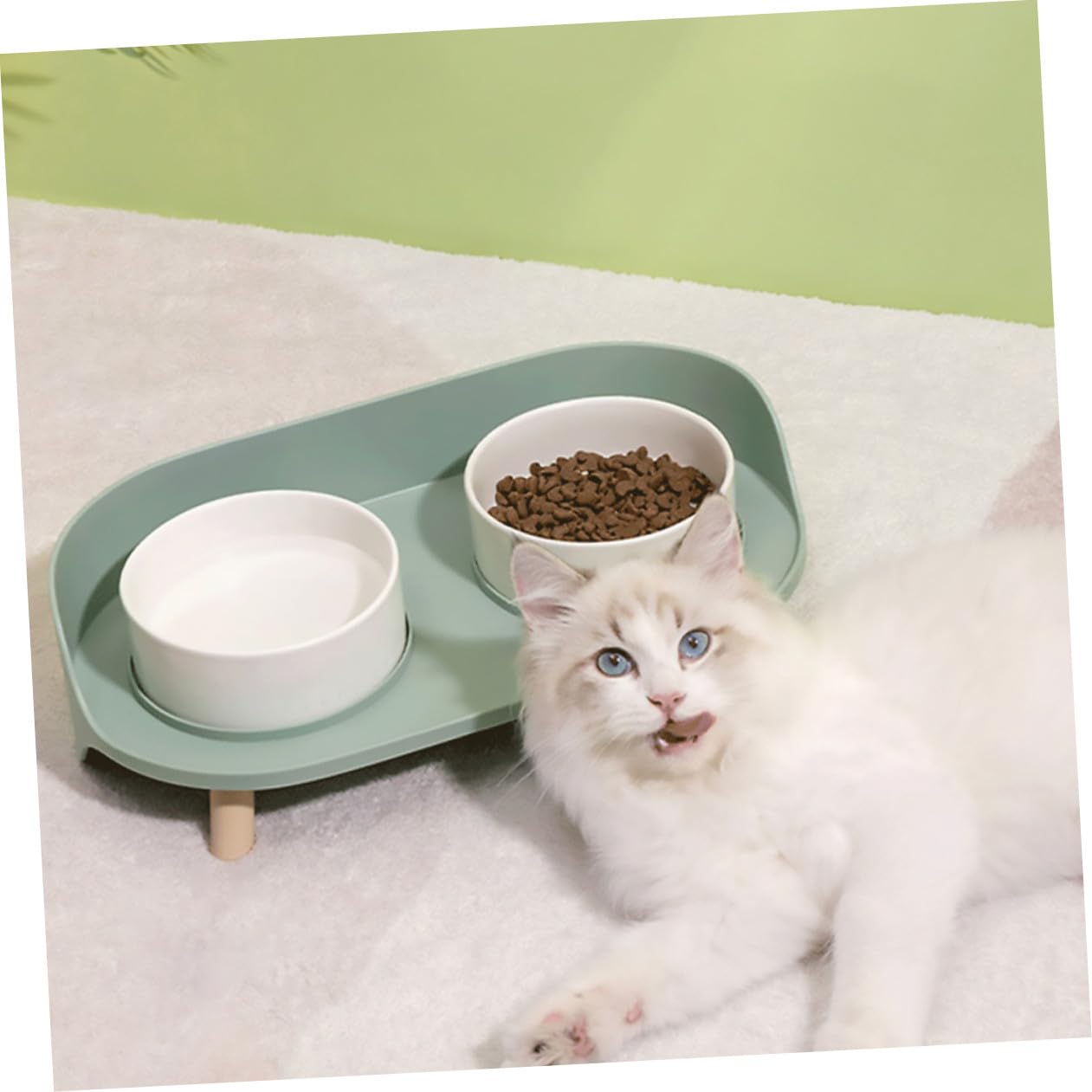 BESPORTBLE Katzenschälchen aus Keramik Erhöhter Doppelnapf für Katzen Schützt die Halswirbelsäule Wasserundurchlässig Grün