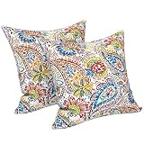 LVTXIII Outdoor Throw Pillow Covers 18 x 18 Inch, Covers ONLY Modern Paisley Pattern Decorative Squa