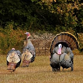3-Panel-Pop-Up-Ground-Blind-Easy-Setup-Hunting-Blind-for-Deer-Turkey-Duck-Dry-Grass-CamoA-1004